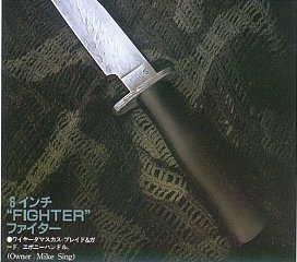Fighter